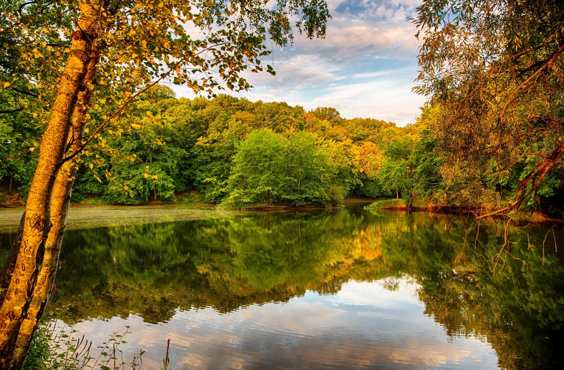 autunno fiume coste alberi fogliame cielo riflessione