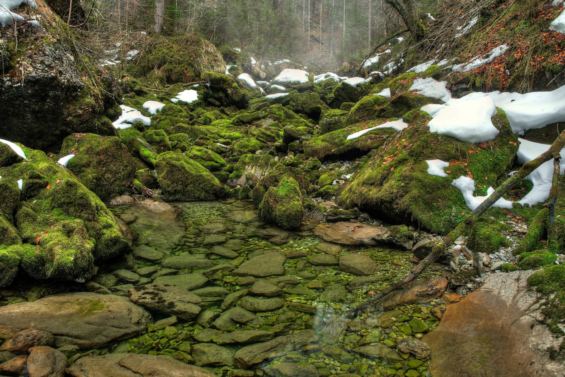 камни мох зелень снег вода река лес