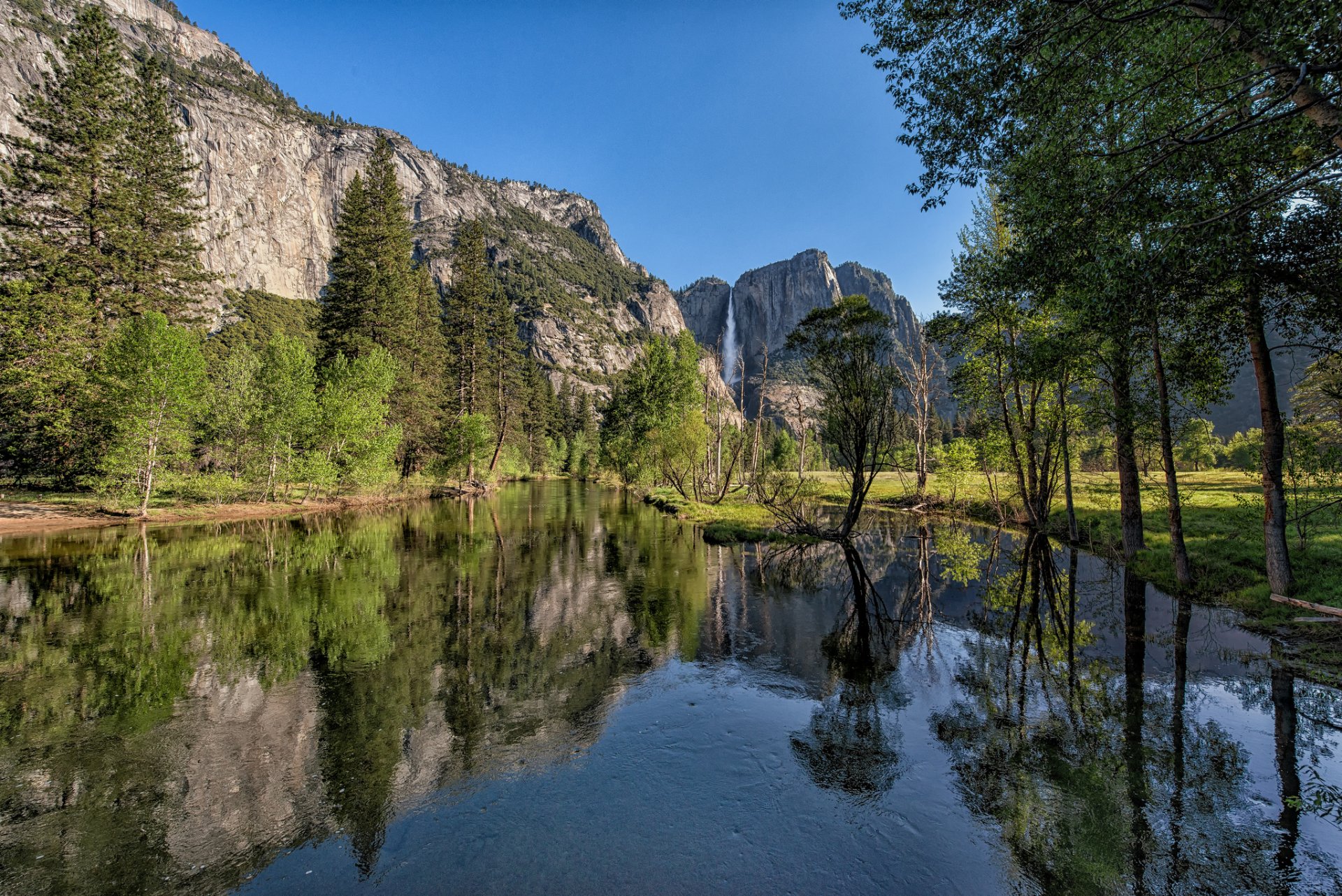 góry las panorama park narodowy yosemite kalifornia góry sierra nevada dolina rzeka