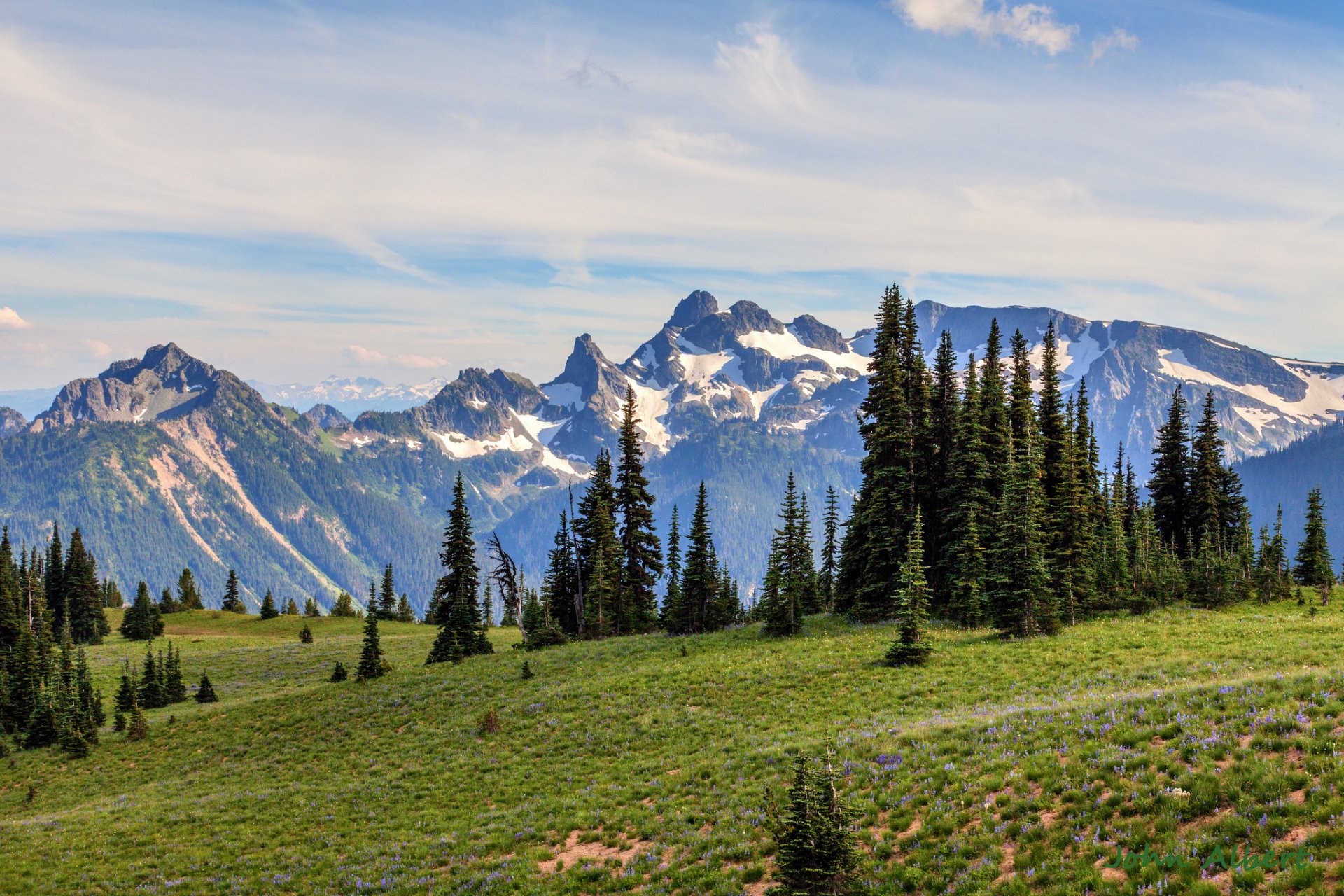 mount rainier waszyngton usa góry świerki poranek