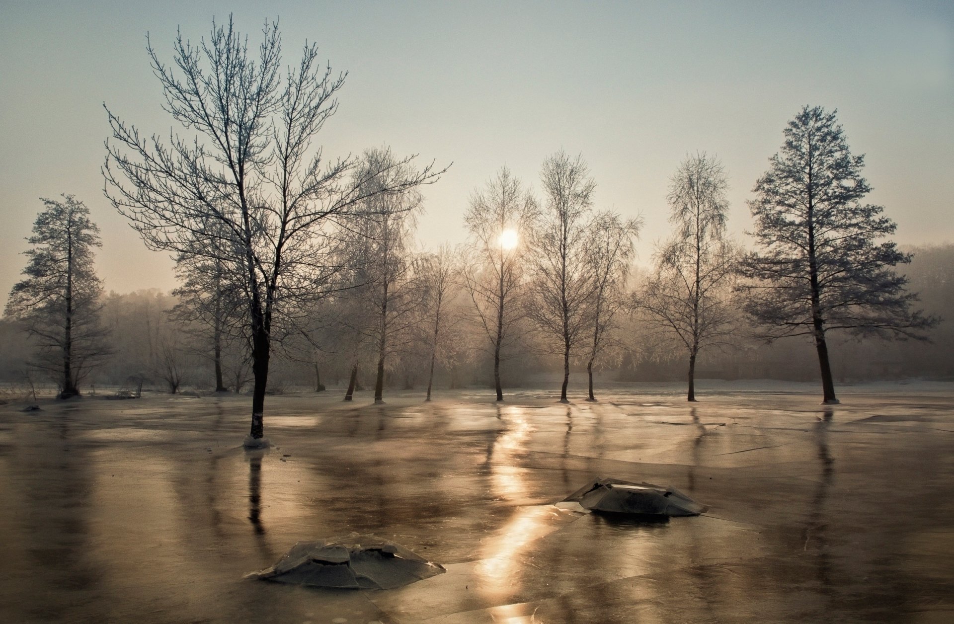 alberi gelo sole