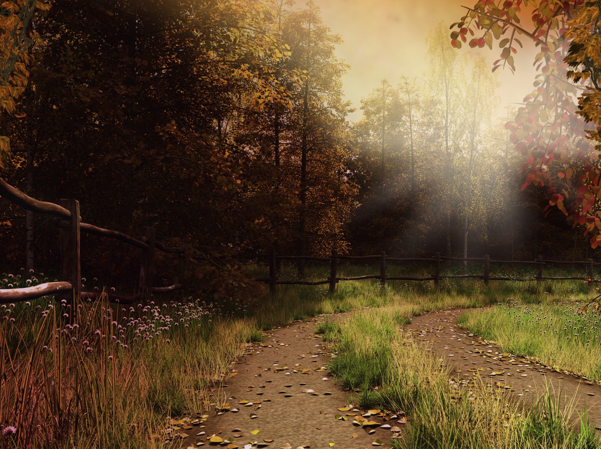 trail fence forest leaves grass haze rays autumn