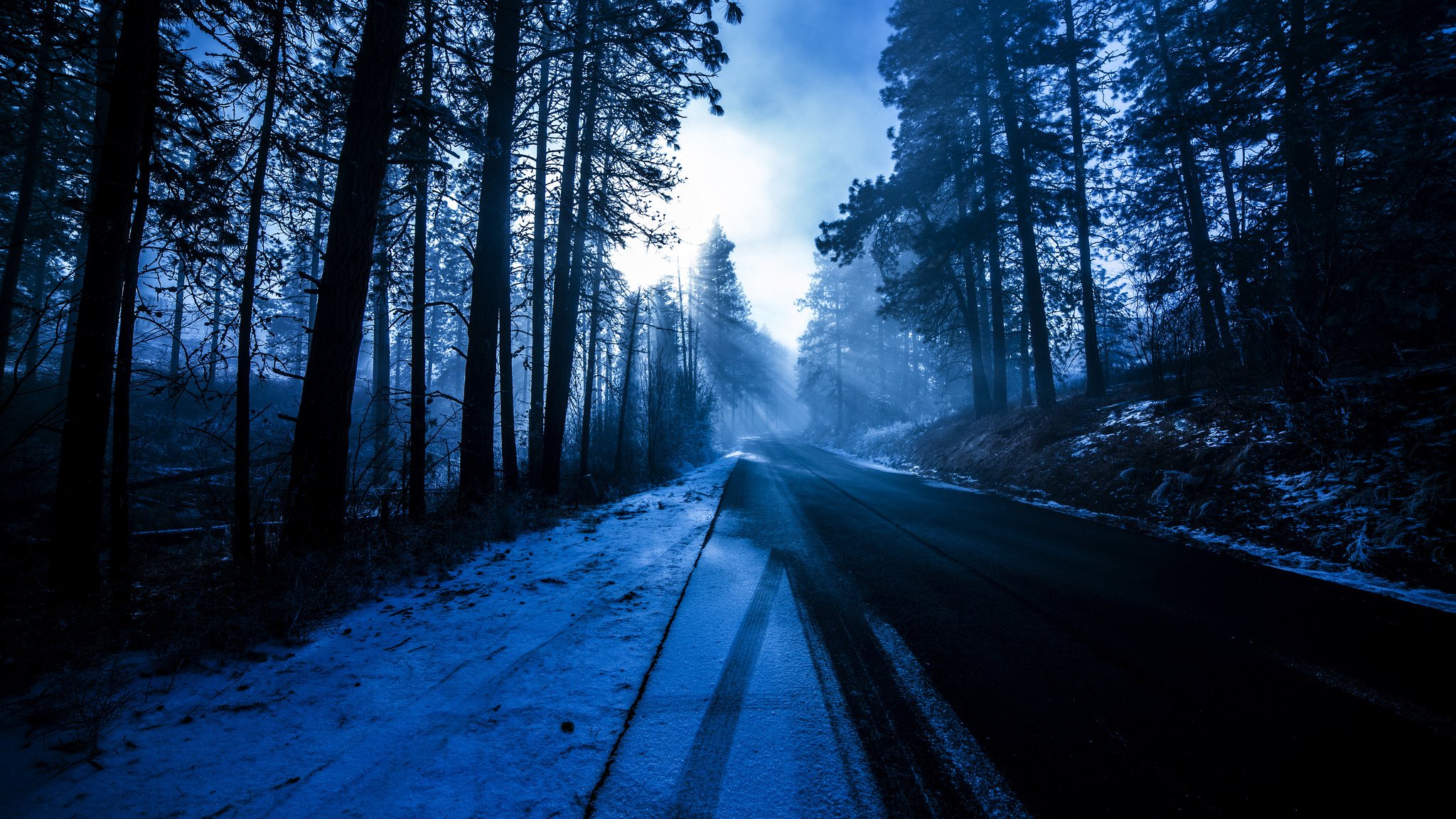 tree forest road shoulder snow winter sun rays nature blue