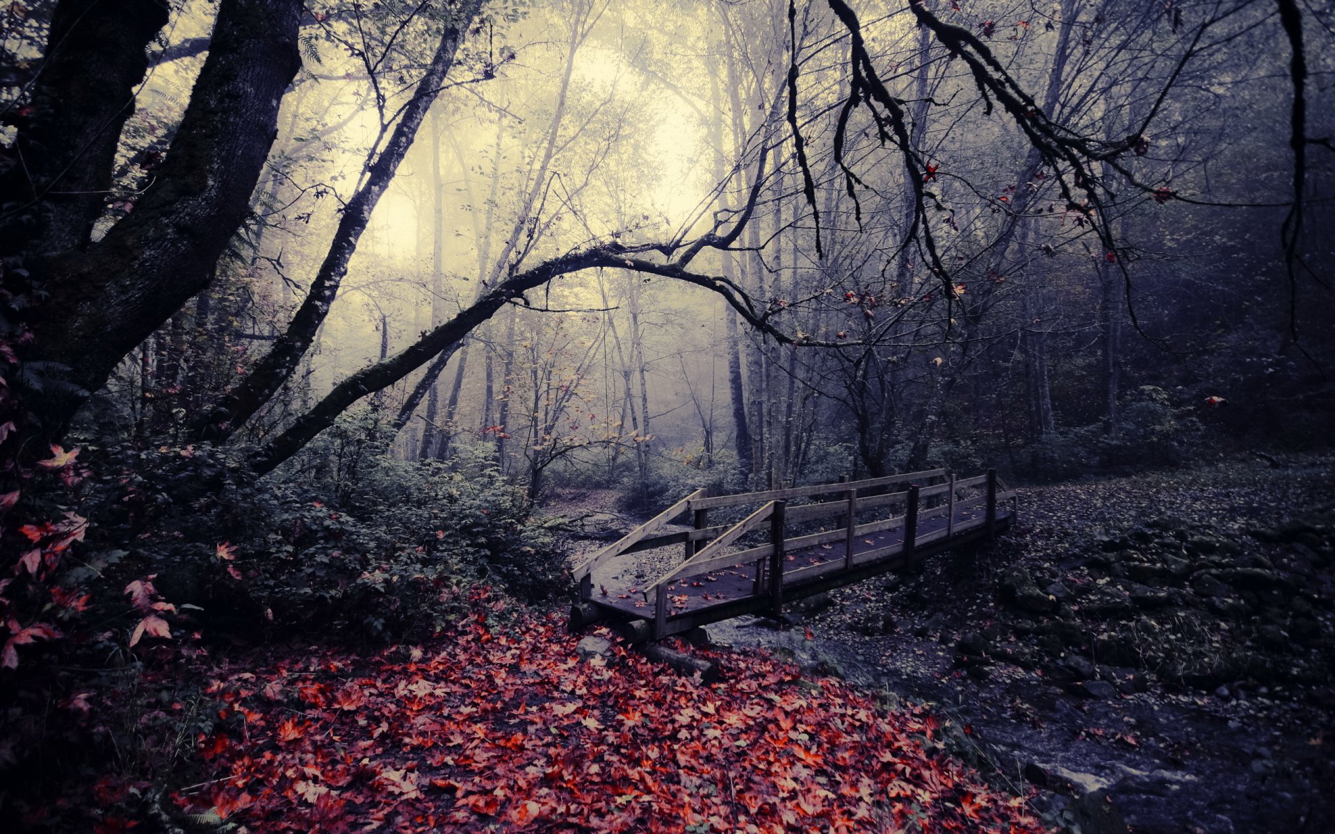 park brücke herbst blätter natur