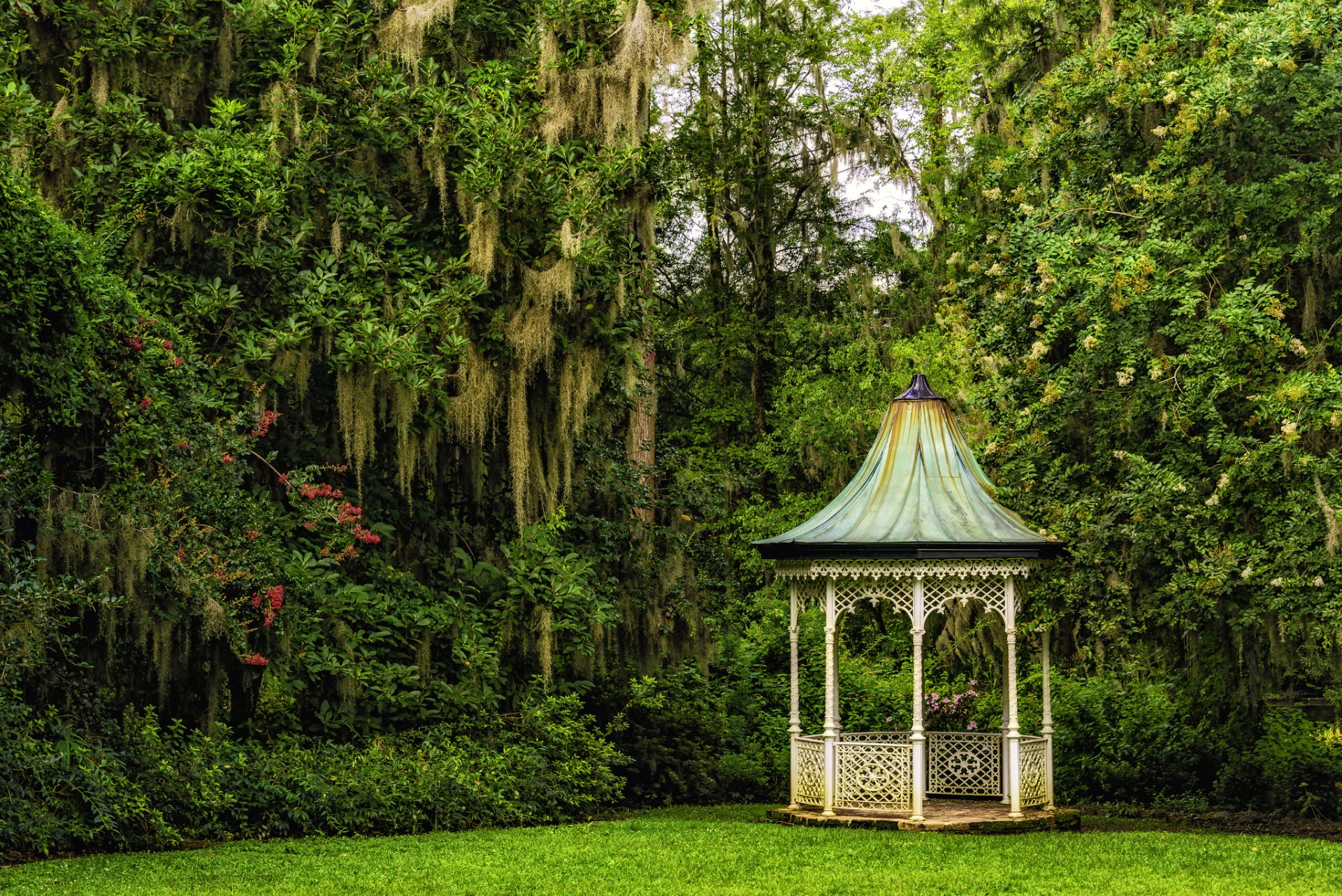 magnolia gardens charleston south carolina magnolia gardens charleston gazebo tree