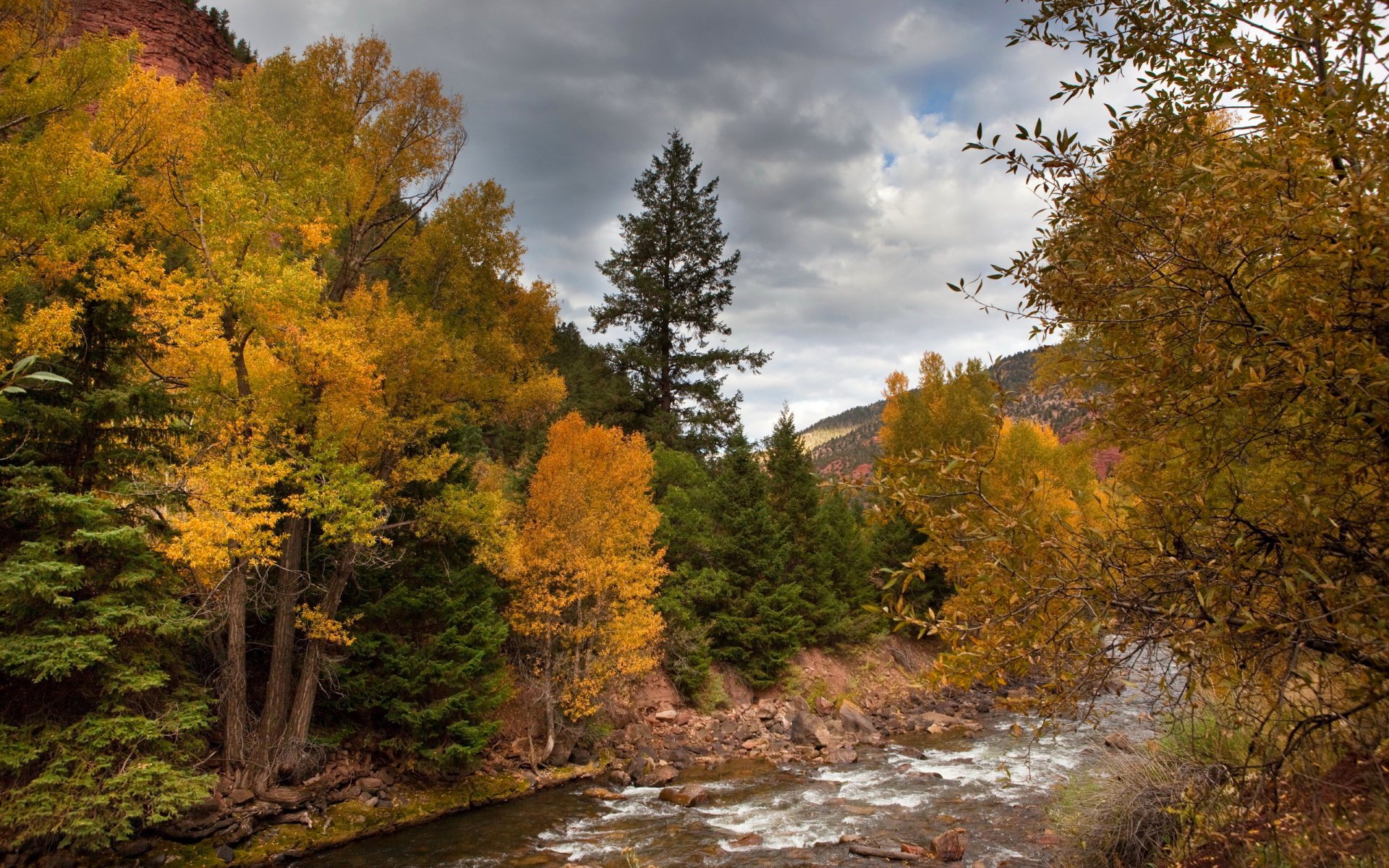 ciel montagnes automne forêt arbres feuilles rivière pierres nuages nuages