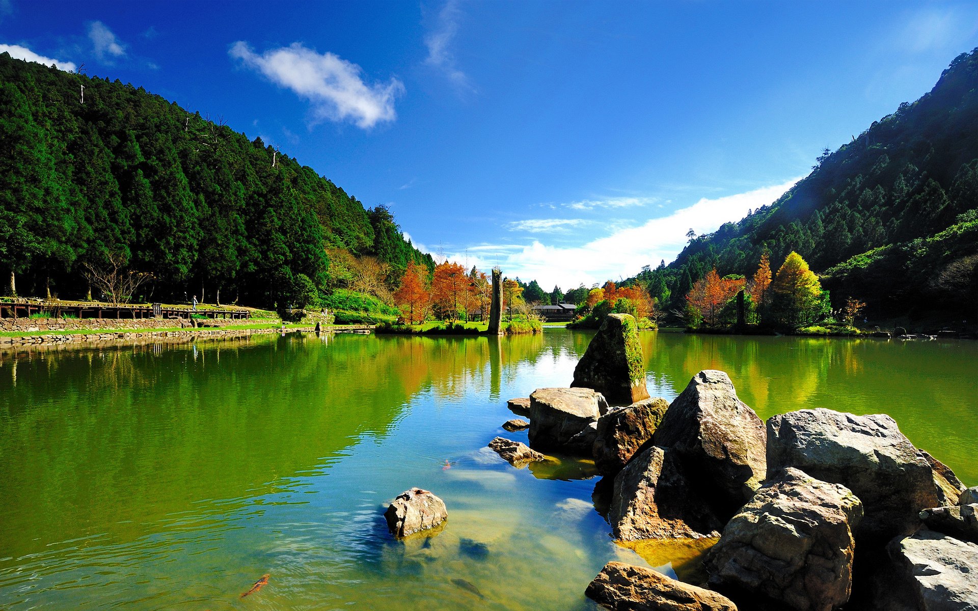 lac étang pierres ensoleillé collines arbres ciel poissons mousse