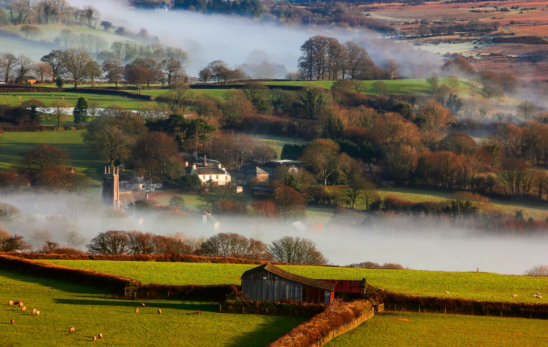 nature grande-bretagne hiver brouillard matin