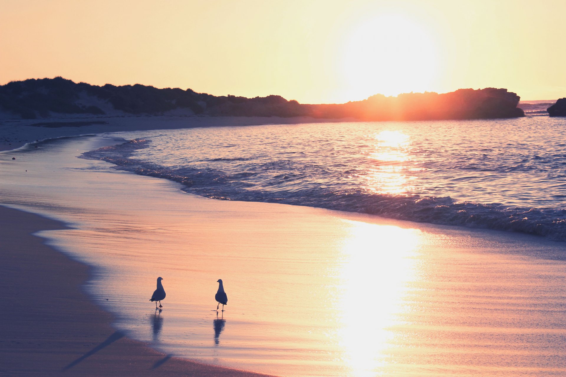 mar arena surf gaviotas amanecer