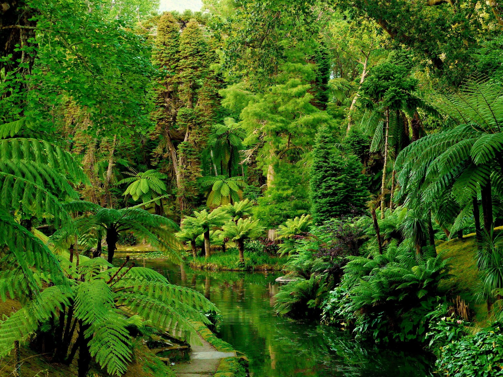 portugal jardines trópicos bosques botánico jardín bosque trópicos