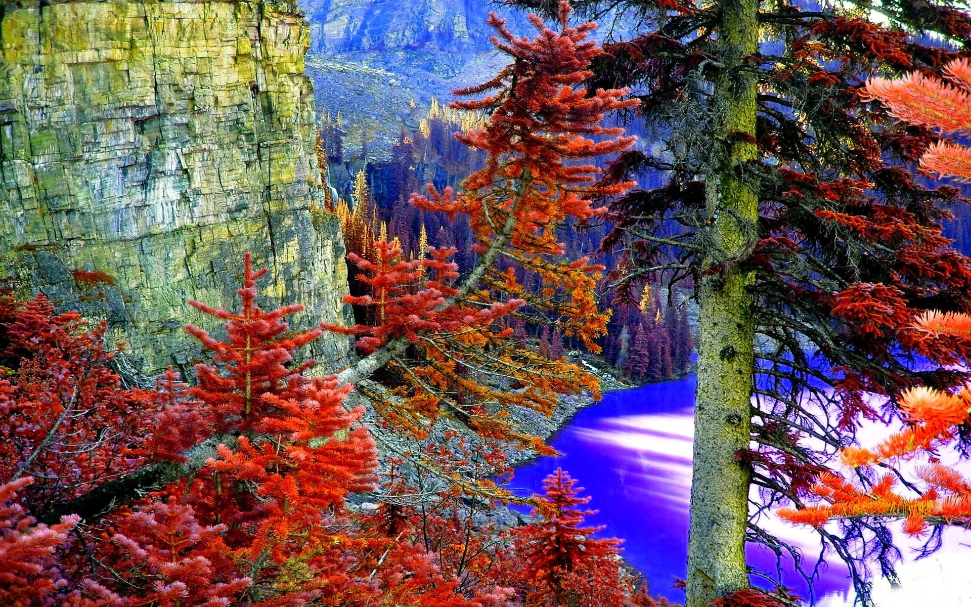 berge felsen wald see bäume nadeln