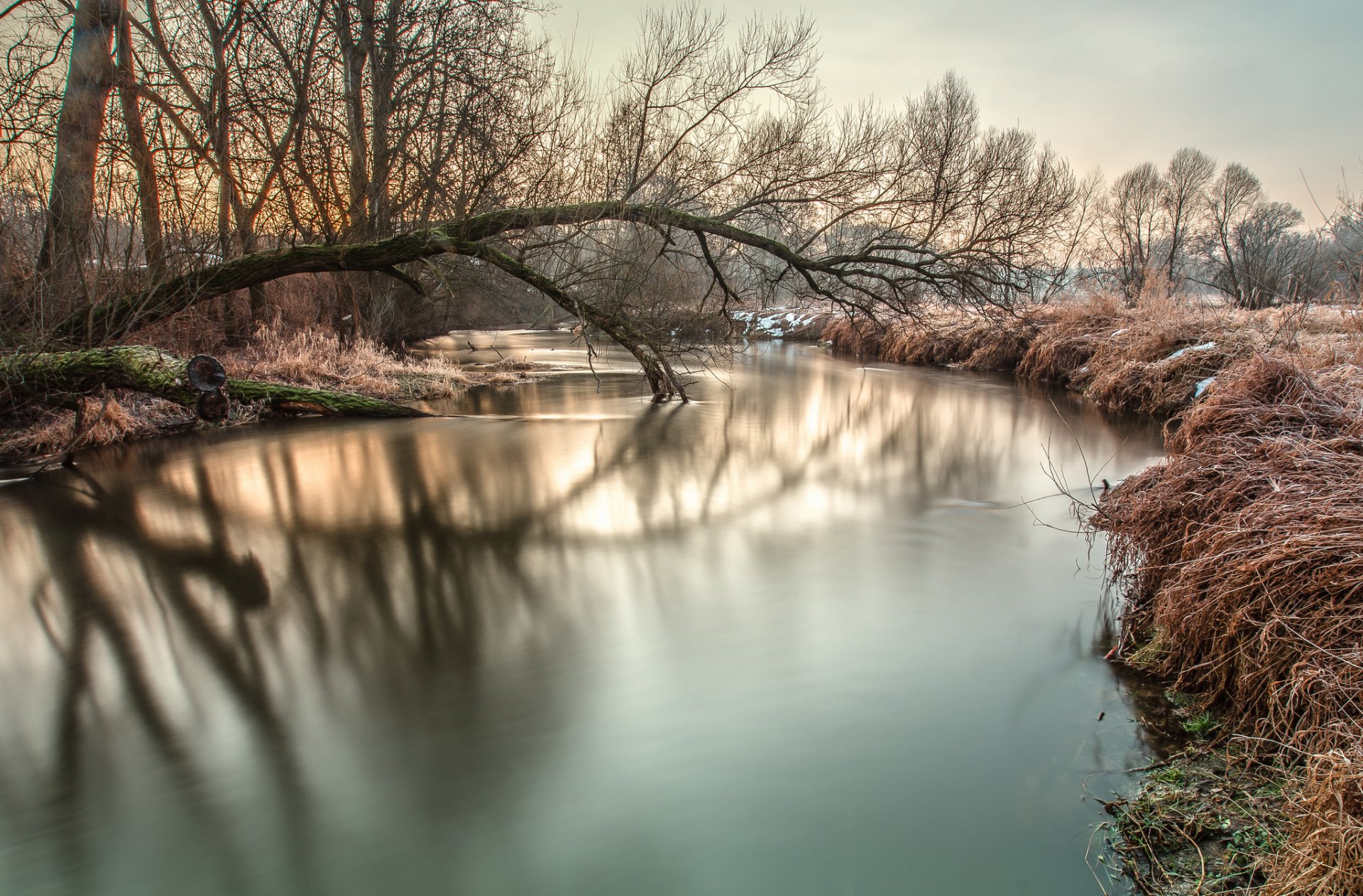 alberi fiume neve gelo mattina