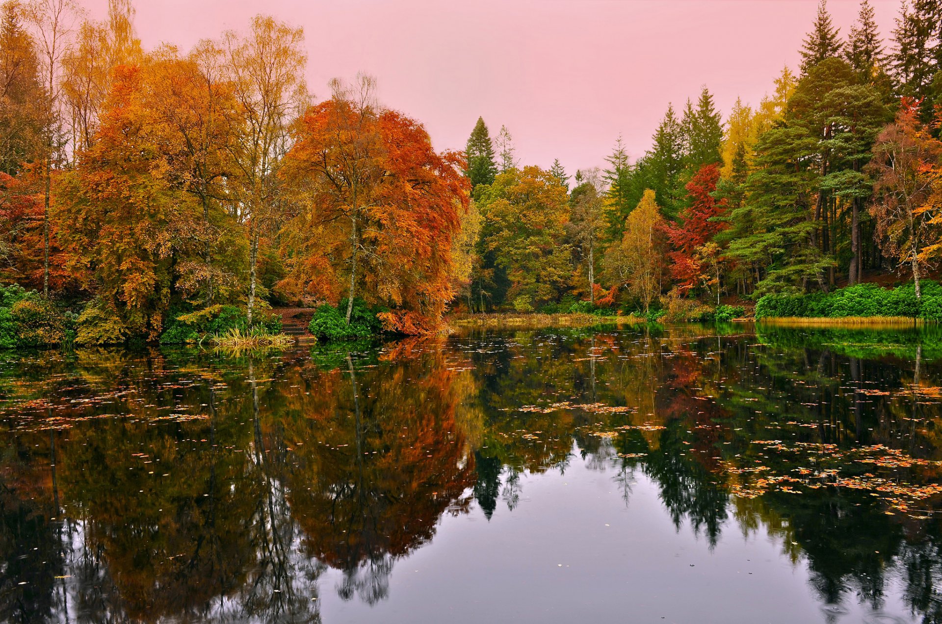 forest lake autumn