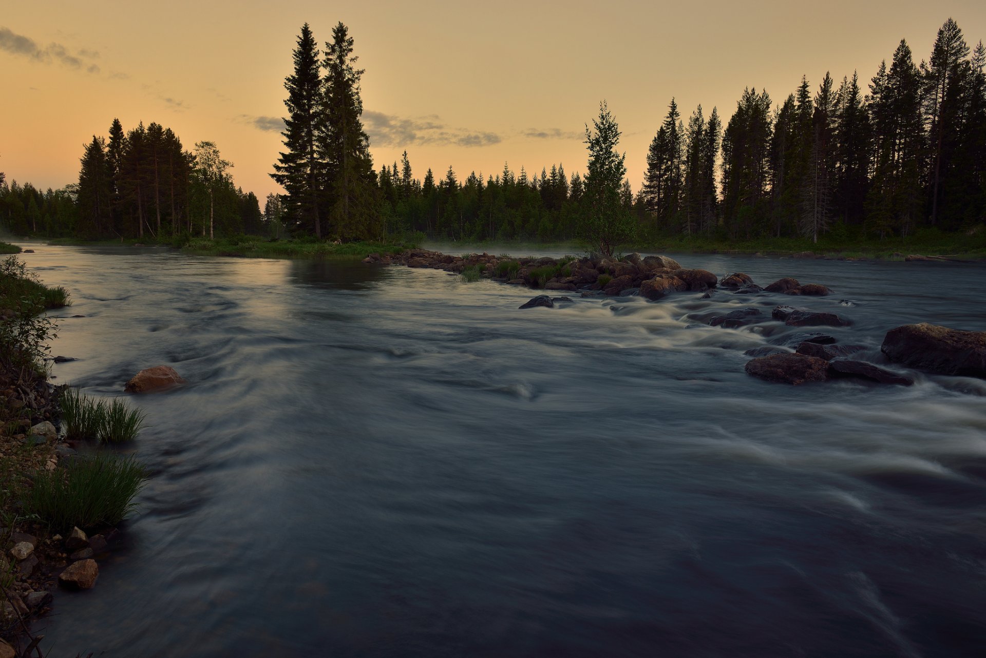 sommer wald fluss strom