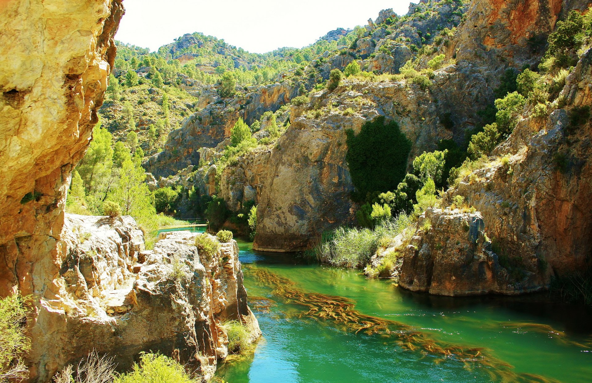 espagne cuenca rivière roches rocher arbres