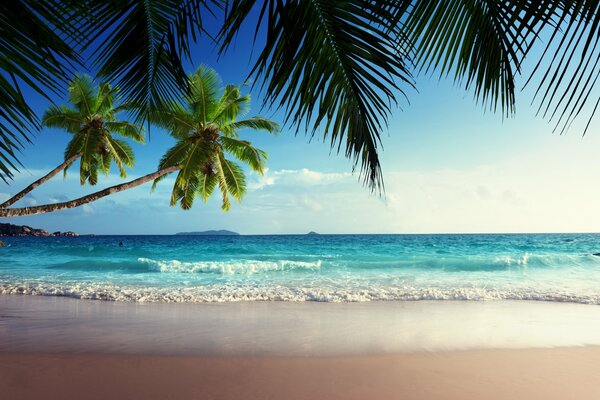 Tropikalny raj, wybrzeże Morza z błękitną wodą