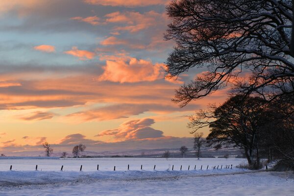 Schöner Sonnenuntergang über einem schneebedeckten Feld