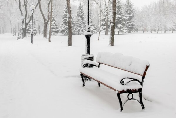 Die Bank ist im Winter mit Schnee bedeckt