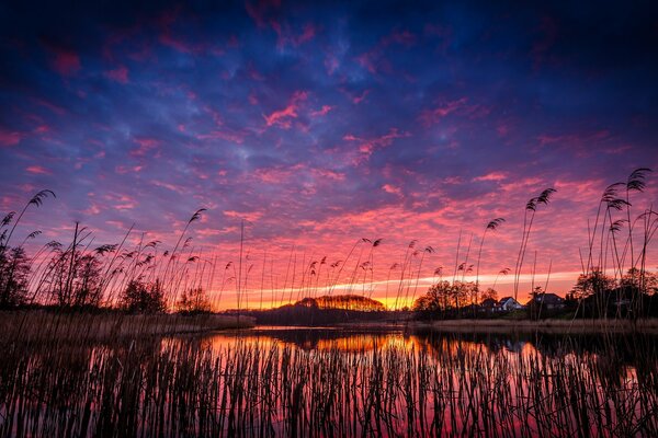 Purpurroter Sonnenuntergang am blauen Himmel