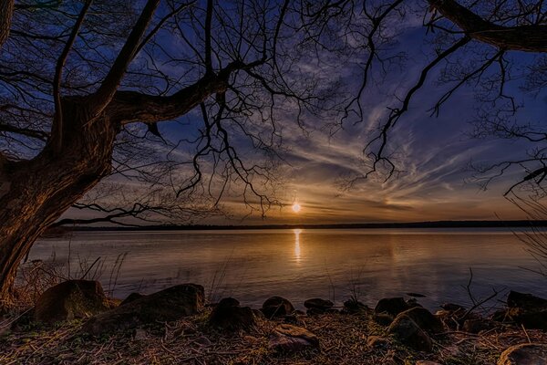 Danimarca albero e sole sul lago