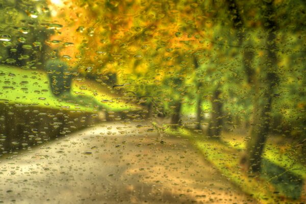 Jesienny spacer w deszczu