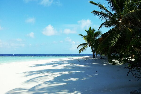 Vacanze alle Maldive