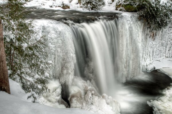 Cascade dans la forêt de sénéchaussée en hiver