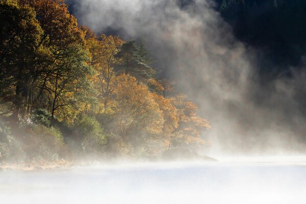 Bergsee im Nebel mit Herbstwald