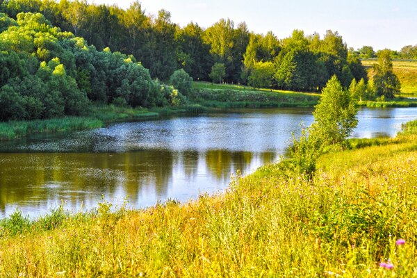 Río ruso en medio de bosques y campos