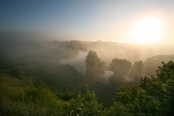 Summer foggy morning by the river