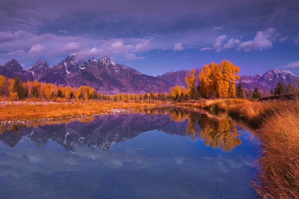 Reflet des arbres dans le lac de montagne