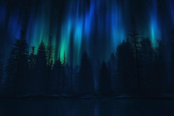 Coniferous forest at night with radiance