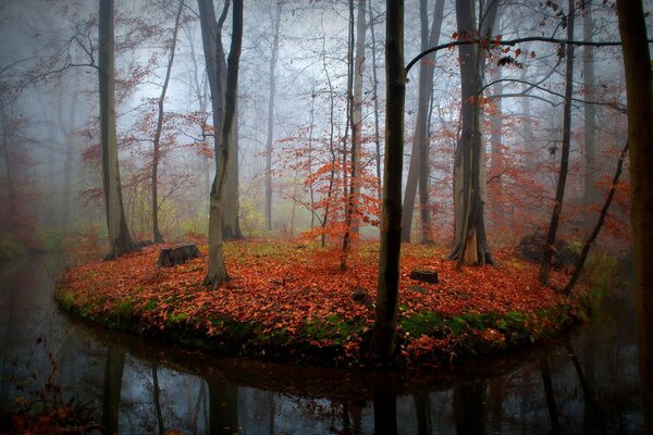 Herbstliche Natur in der Nähe des Flusses