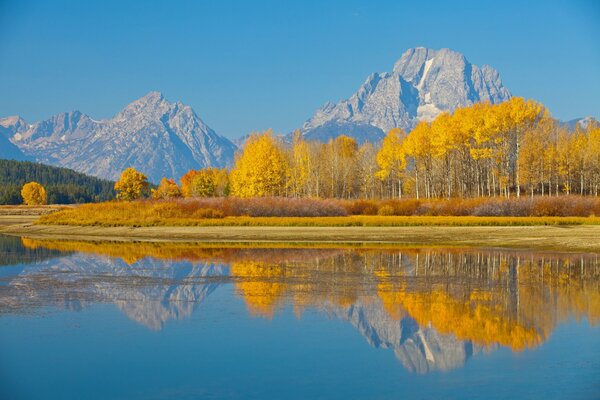 Trees and a lake on the background of the rocky mountains