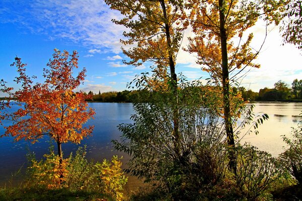 Rive de la rivière à l automne. paysage