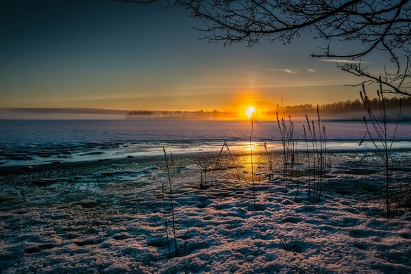 Warmer Sonnenuntergang am Meer in der Taiga