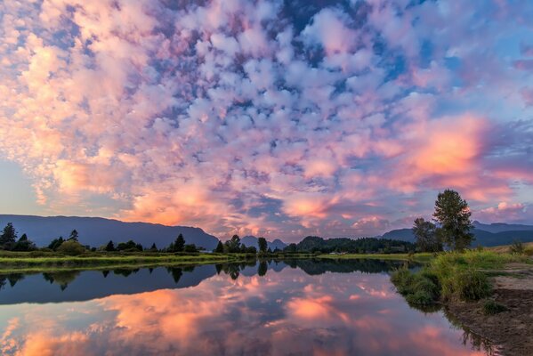 Ciel d avant l aube avec des nuages roses