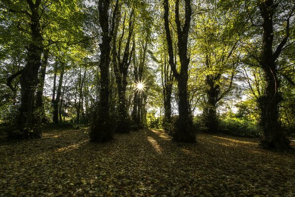 Condado de Londoderry en Irlanda del Norte