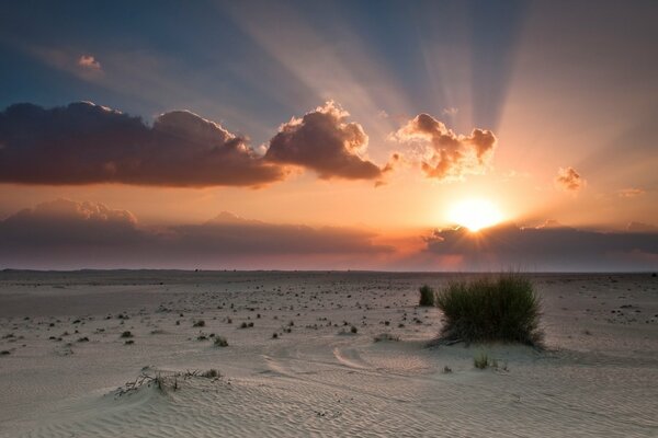 Sabbia bianca al tramonto nel deserto