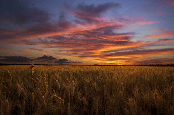 Nubes nocturnas sobre el campo