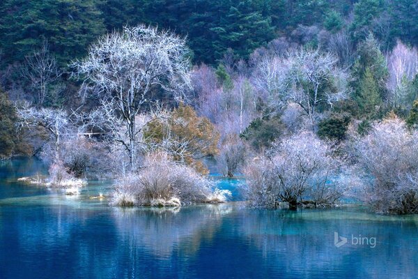 Winter landscape near clear water