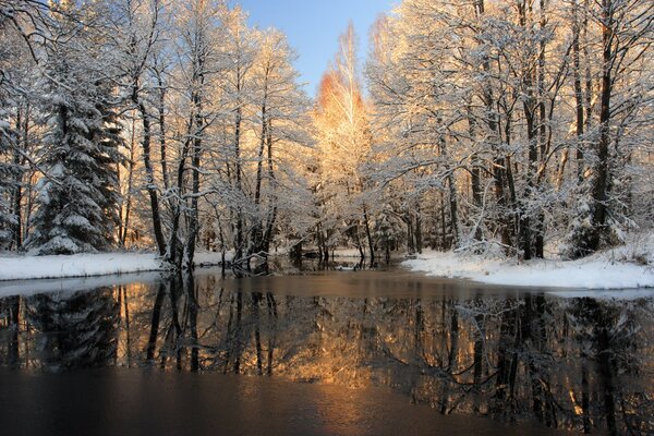 Снежная зимняя река в лесу