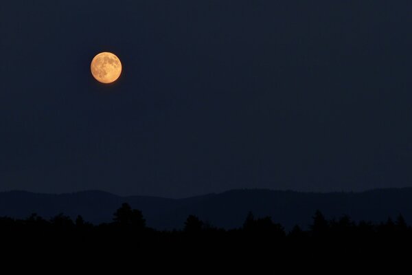 The moon in the dark sky