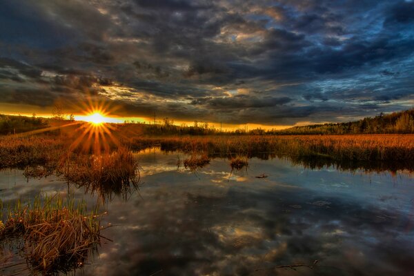 Puesta de sol naranja en la orilla del pantano