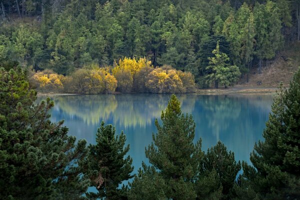 Błękitne jezioro otoczone jesiennym lasem