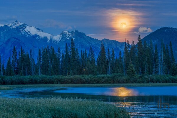 Canada, Vermillion lake, lena and forest at full moon