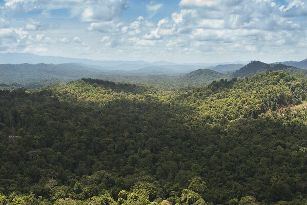 Colinas de la selva en nueva Guinea