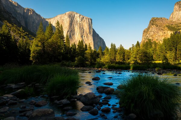 Nature. Lake near the forest and mountains. Yosemite Park