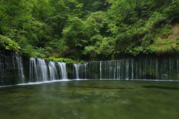 Shiraito Falls in Japan, umgeben von grünem Wald