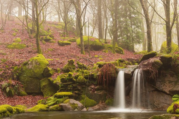 Forest waterfall in the autumn forest